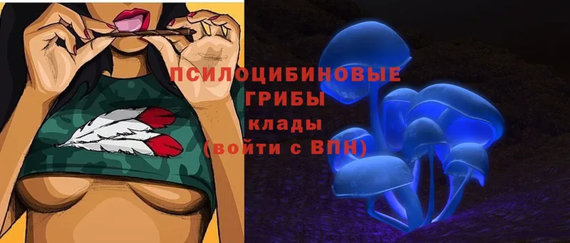 Галлюциногенные грибы Cubensis  Баксан 